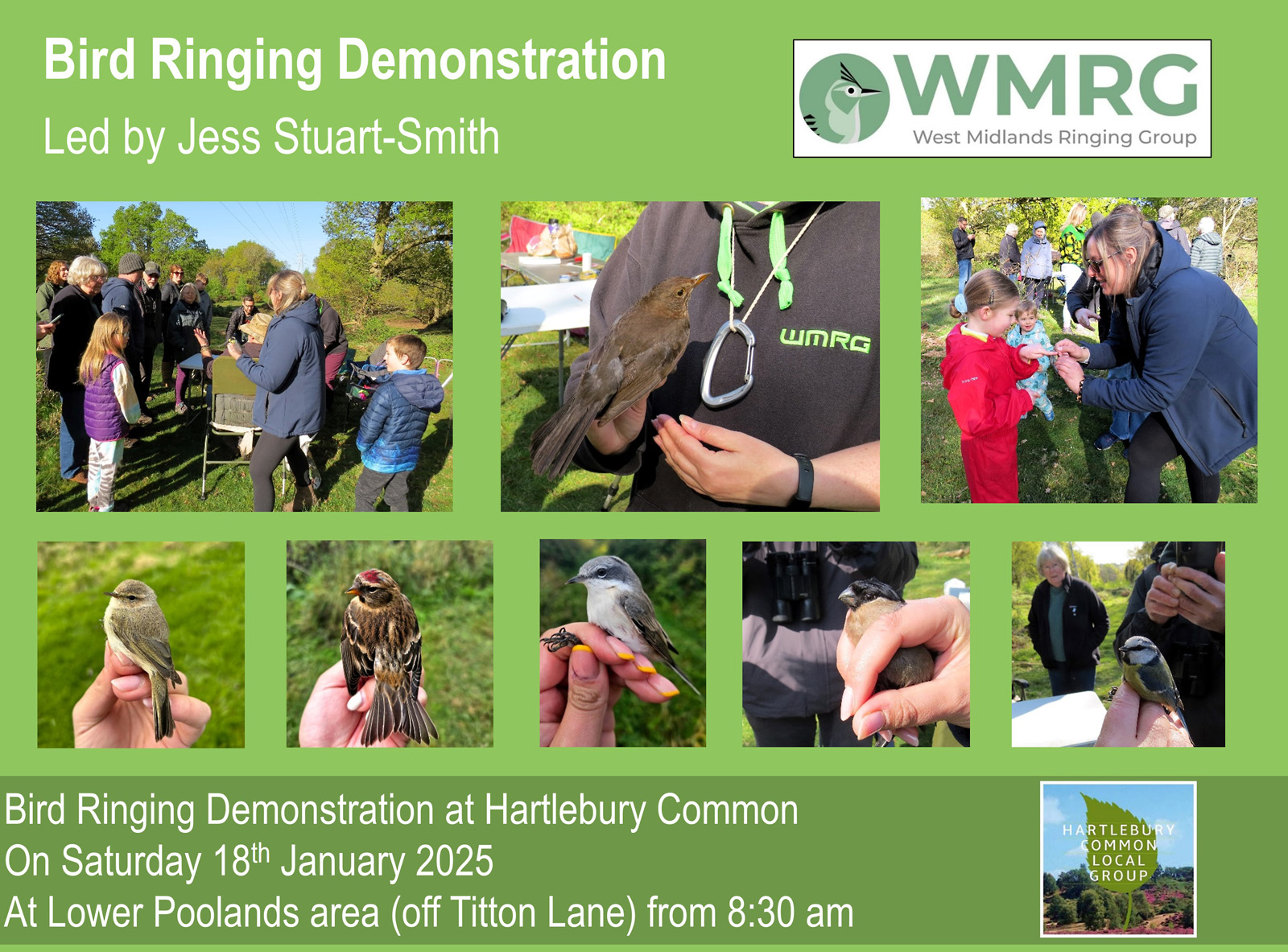 Bird Ringing 4 Saturday 18th January 2025 - Bird Ringing Demonstration on Hartlebury ...